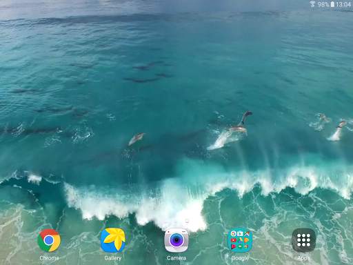 Dolphins Video Live Wallpaper screenshot 8