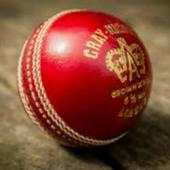 cricbuzz in cb 2.0