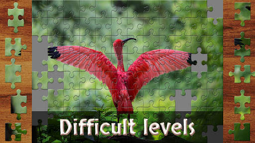 Bird Jigsaw screenshot 3