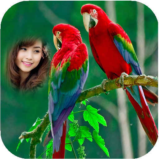 ikon Parrot Photo Frames HD