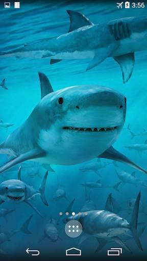 Shark 4K Live Wallpaper screenshot 3