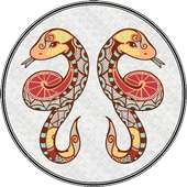 Gemini Horoscope 2016