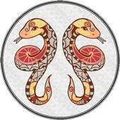 Gemini Horoscope 2016 1.1