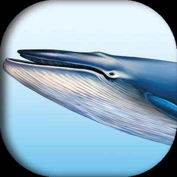 Blue whale (helping game) screenshot 1