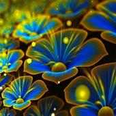 Mate S Wallpapers