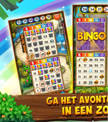 Bingo Quest Zomertuin Avontuur screenshot 1
