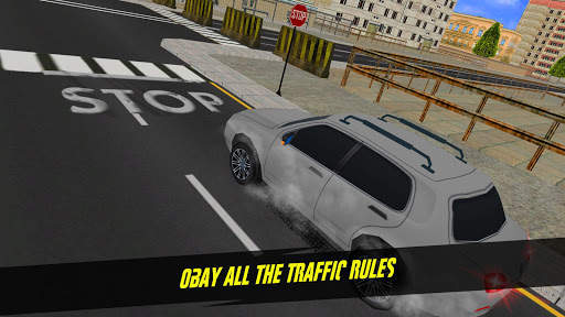 Extreme & The Ultimate Dr. Car Driving Simulator screenshot 2