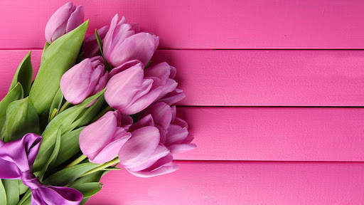 Pink Tulips Live Wallpaper screenshot 7