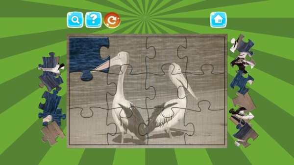 Birds Jigsaw Puzzles Game screenshot 4
