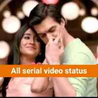 All serial video status logo