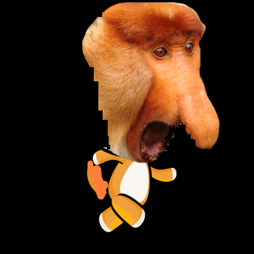 Run Janusz Run icon