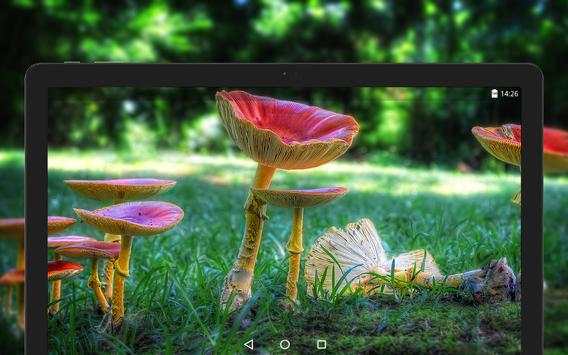 Mushroom Wallpapers HD (backgrounds & themes) screenshot 10