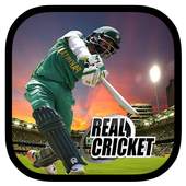 Real Game Cricket 2018 1.0