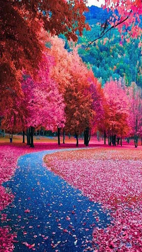 Autumn Wallpaper screenshot 7