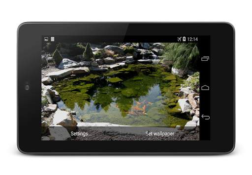 Koi Live Wallpaper screenshot 7