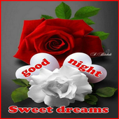 GoodNight Gif icon