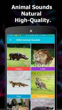 Animal and Bird Sounds Offline screenshot 2