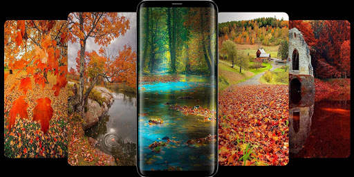 Autumn Wallpaper & Background screenshot 6