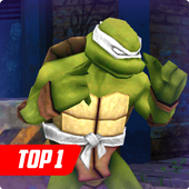 Ninja Beatem Turtles icon