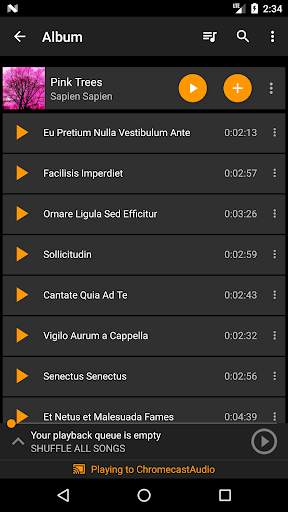 Hi-Fi Cast - Music Player screenshot 3