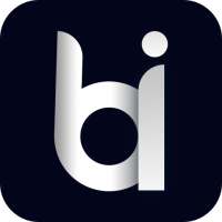 BI Option icon