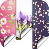 Spring Flowers Backgrounds HD 3.0