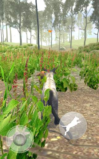 Talking Blue Siamese Cat screenshot 11