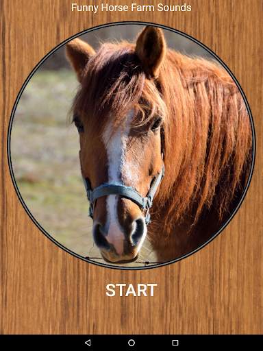 Funny Horse Farm Sounds screenshot 6