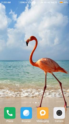 Bird Wallpapers screenshot 8