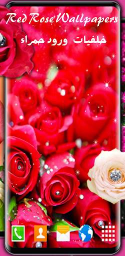 Red rose wallpapers HD | offline screenshot 1