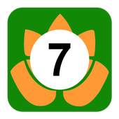 Lucky Number 7 1.4