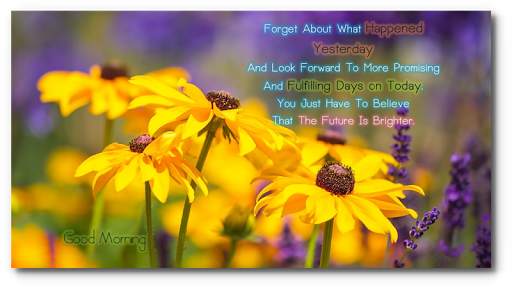 Good Morning Night flower wish screenshot 4