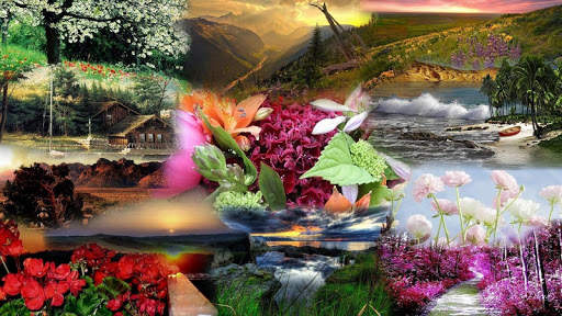 Nature And History Themes screenshot 17