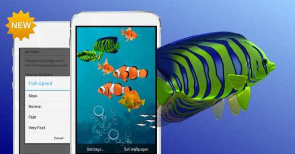 FISH LIVE WALLPAPER 2016 screenshot 1