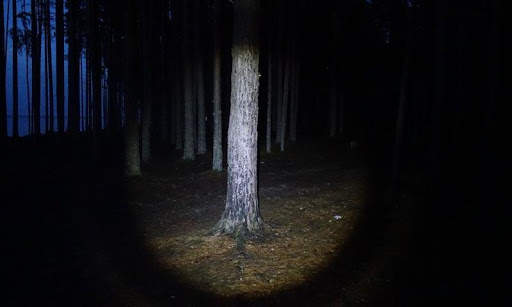 Power saver FlashLight screenshot 12