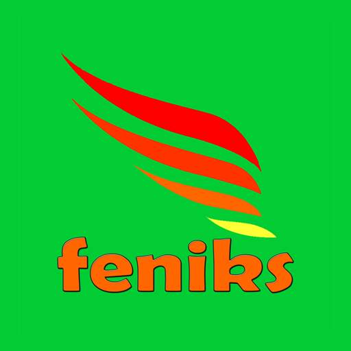 Feniks Taxi Bytom 1.120.86