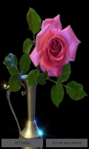 Pink Rose Pot Live Wallpaper screenshot 1