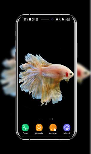 New Betta Fish Wallpaper скриншот 3