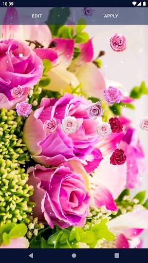 Spring Rose Live Wallpaper screenshot 6