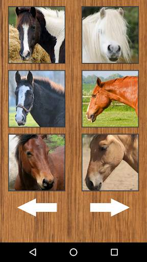 Funny Horse Farm Sounds screenshot 4