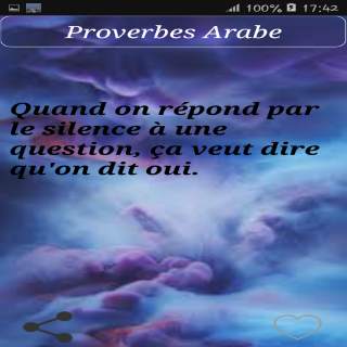 Proverbes Arabe screenshot 4