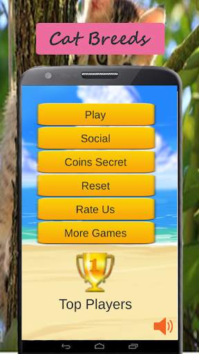 Cat Breeds: Cat Games screenshot 1