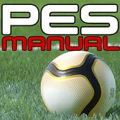 PES 2019 Manual 1.0.132