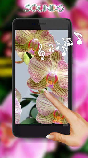 Orchids Photo screenshot 1