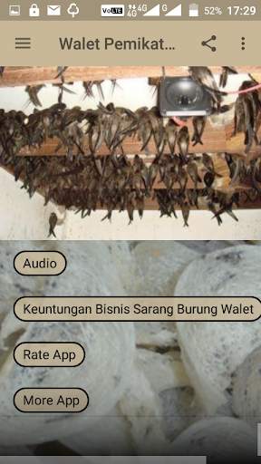 Walet Pemikat Mp3 screenshot 2