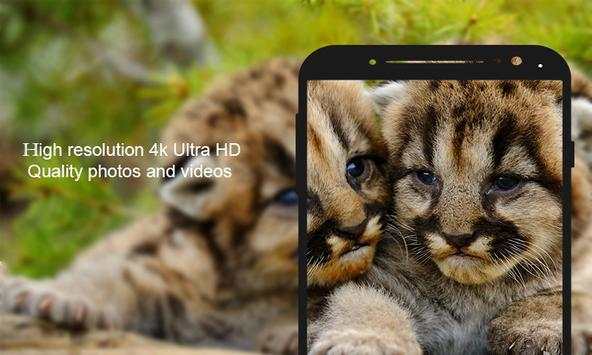Digital SLR Camera screenshot 4