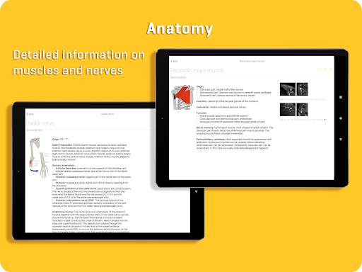 MRI Essentials screenshot 14