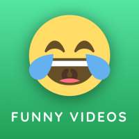 Funny Video Status on 9Apps