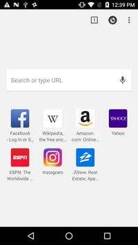 AirFox Browser screenshot 1