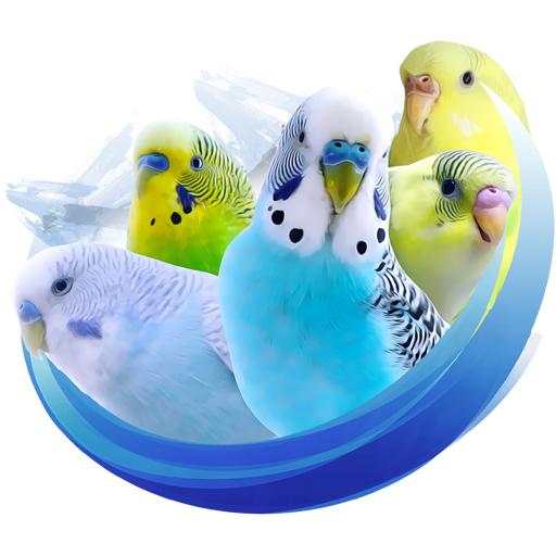 Alen AxP Budgie Community 1.1.2